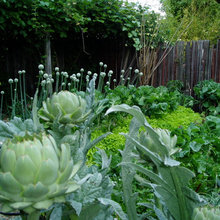 Garden: Edibles