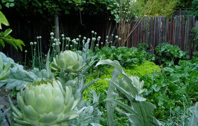 10 Ideas for an Edible Front Garden Your Neighbours Will Love