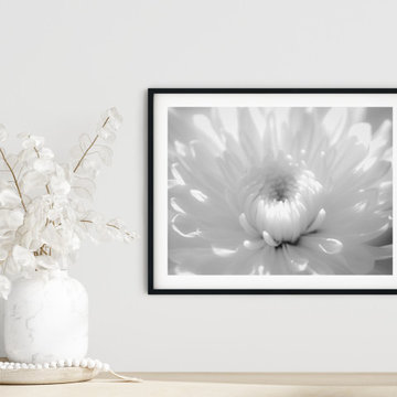 Infrared Flower 2 Black and White Floral Nature Photograph Wall Art Prints