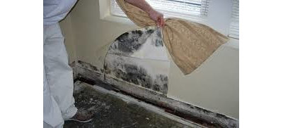 by Mold Inspection & Testing Chicago IL