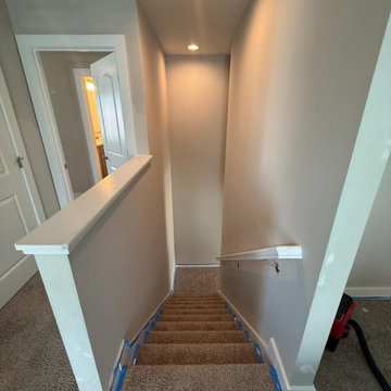 Painting Services