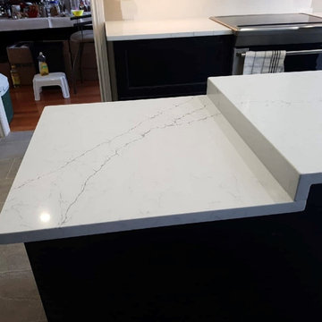 Everest Statuary Fine Vein Quartz