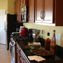 Fish Hawk Ranch - Fishhawk Ranch Lithia Florida 33547