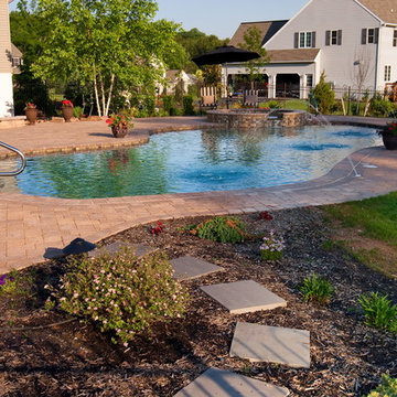 Hollander Project