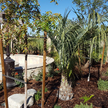 Backyards
