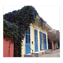 exteriors