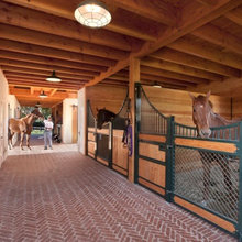 Equestrian