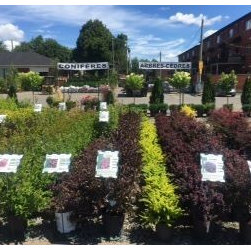 Garden Centre - Gardening And Lawn Care
