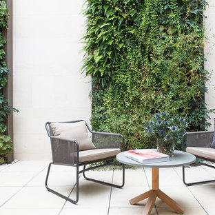 ロンドンの小さいコンテンポラリースタイルのおしゃれな裏庭のデッキ (壁面緑化、日よけなし) の写真