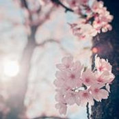 Michelle Kimbell's photo