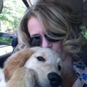 Colleen Doyle's photo