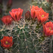 I. Smith's photo