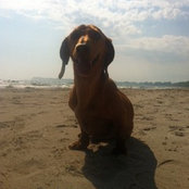 Mark Tomaino's photo