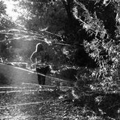 annie flanzraich's photo