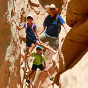 Art Oakes's photo