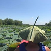 Ryan Bogner's photo