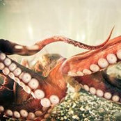 Christopher Curran's photo