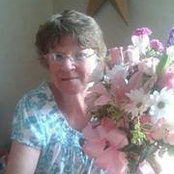 Lynne Alexander's photo