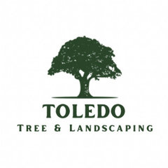 Toledo Tree Service