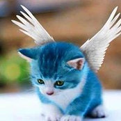 Brigitte Loranger's photo