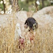 Hila Moyal's photo