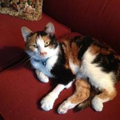 Carol Rogers's photo
