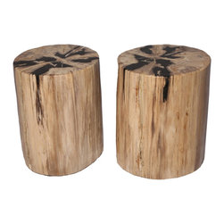 Petrified Wood Side Tables - Stool - Side Tables And End Tables