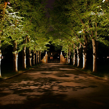 Entrance and Pathway Lighting