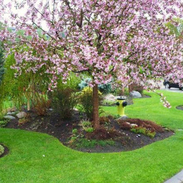 Landscape design highlights