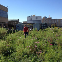 Omni Green Roof - Products