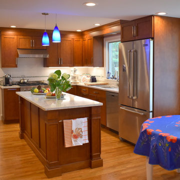 UltraCraft Shaker Kitchen in Cherry Amber with Silestone Pietra Countertops