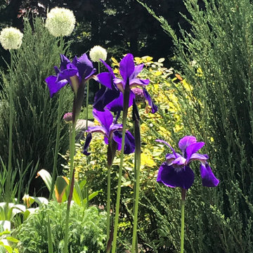 Spring blooms