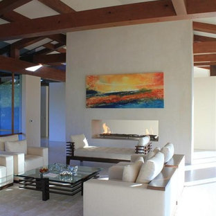 Modelo de salón minimalista con chimenea de doble cara