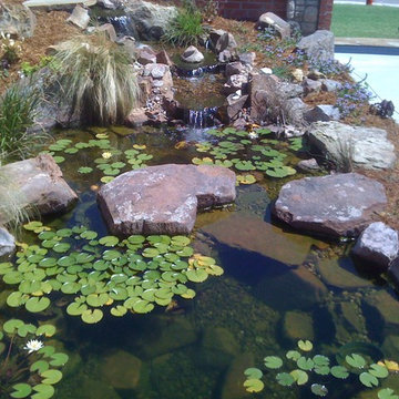 Ecosystem Ponds and Water Gardens By Continental Ponds
