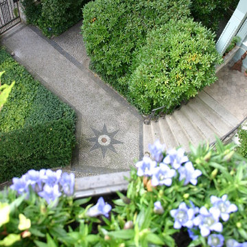 Impressionen aus dem Garten