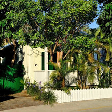 Landscape Ideas