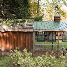 chicken coops
