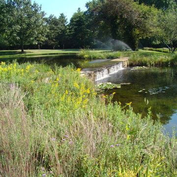 Estate Pond