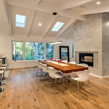 Monte Sereno Modern Addition/Remodel