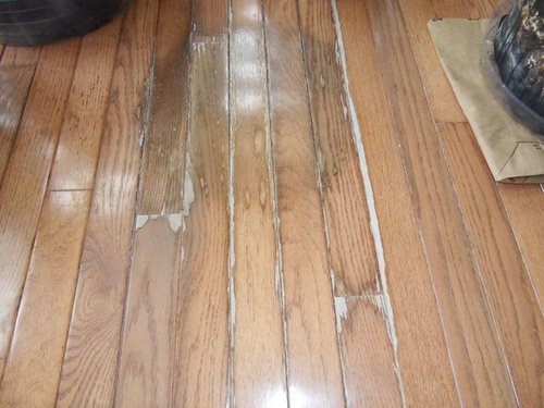 Damaged Hardwood Flooring, How To Make My Bruce Hardwood Floors Shine