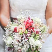 Tania Arod's photo