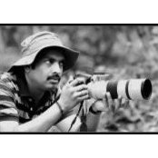 Natesan Saravanans foto