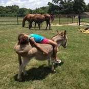 Sheri Mueller Rosinski's photo