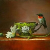 Laurie Forest's photo