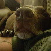 Melissa Duchene's photo