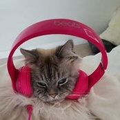 Foto von Faye Millar