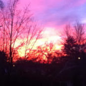 Cathy Morelli's photo
