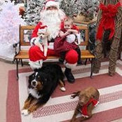 Krysta Garland's photo