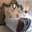 Terri Fitzgerald Design
