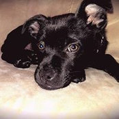 Nick Meyers's photo